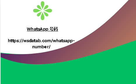 WhatsApp 号码