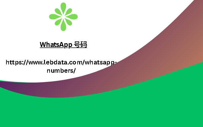 WhatsApp 号码